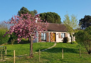 Gîte de la pomme de pin